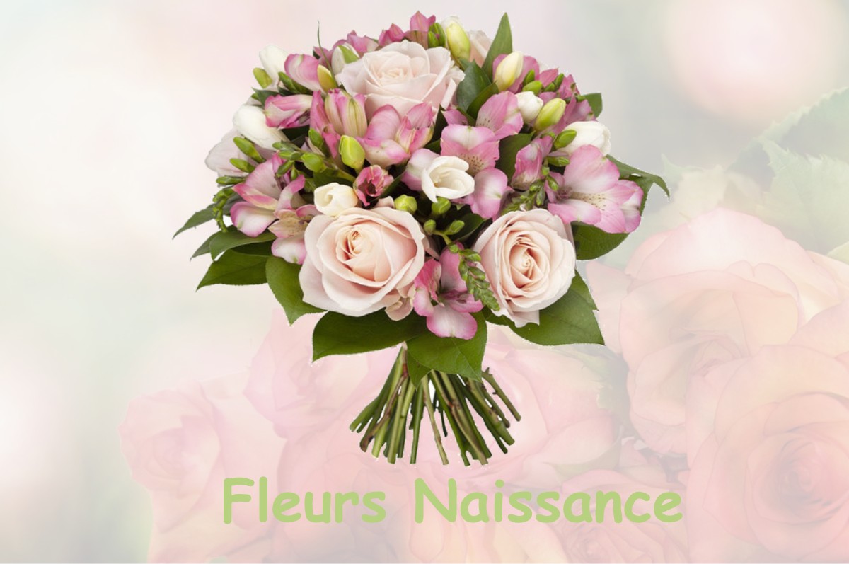 fleurs naissance BERNIERES-D-AILLY